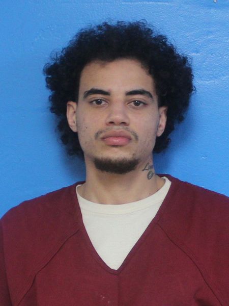 Mugshot of JULIEN CUSSHAWN FITZGERALD