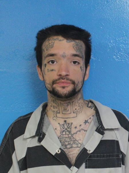 Mugshot of DYLAN TROY HOLLINS