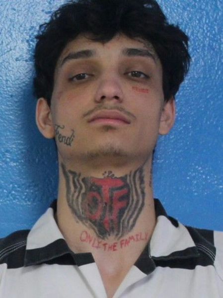 Mugshot of CHRISTOPHER JOHNATAN GHIBEA