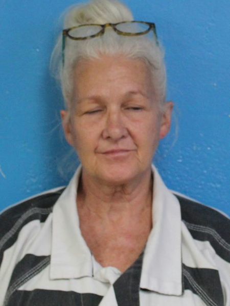 Mugshot of TAMARA ROCHELLE STARNES