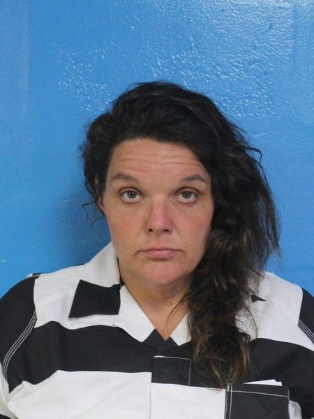 Mugshot of CRYSTAL NICOLE HOLBROOK
