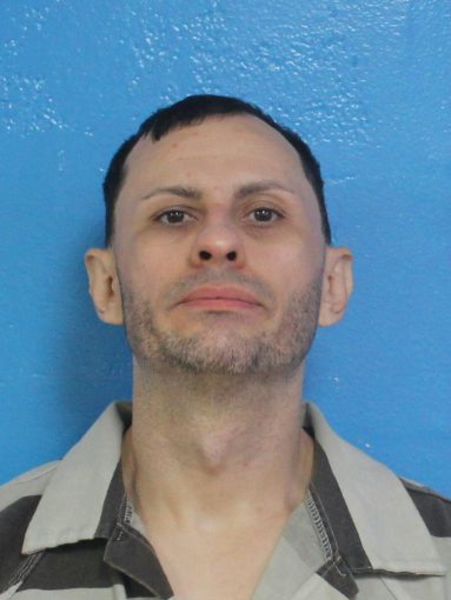 Mugshot of CHRISTOPHER WAYNE PALMER