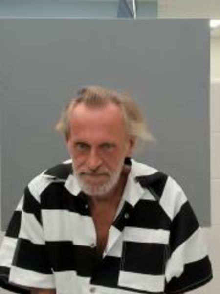 Mugshot of JERRY LYNN LANE