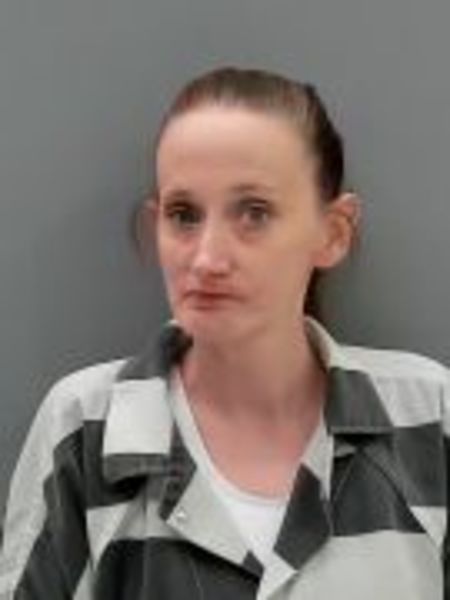 Mugshot of HEATHER ANN PETERS