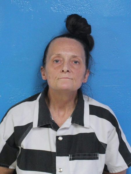 Mugshot of REBECCA LYNN WILLIAMS