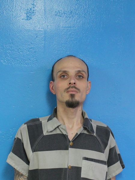 Mugshot of MICHAEL ALVARADO