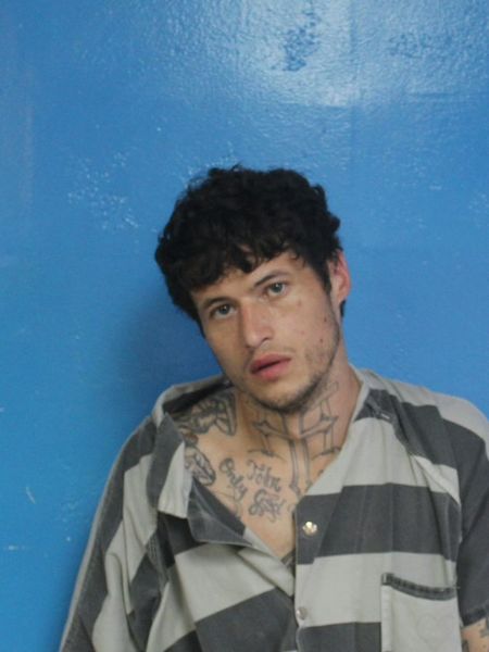 Mugshot of JAMES HENRY WINSTON