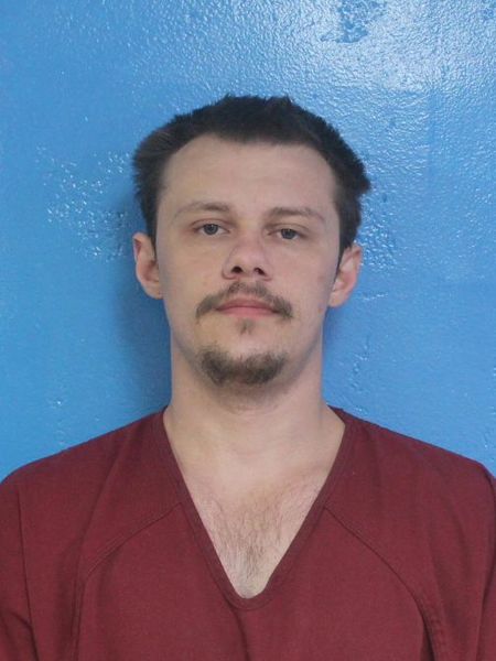 Mugshot of JASON QUAID BROWNING