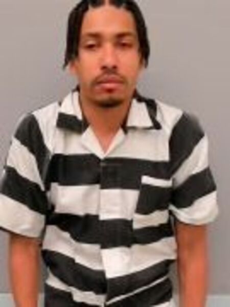 Mugshot of LEPRINTIS SIRTYDIS STEGER