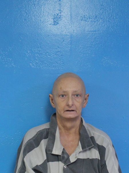 Mugshot of KRISTIE JANICE CRADIC