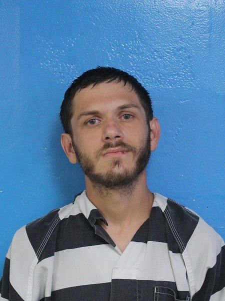 Mugshot of AUSTIN CHASE MICHAELS