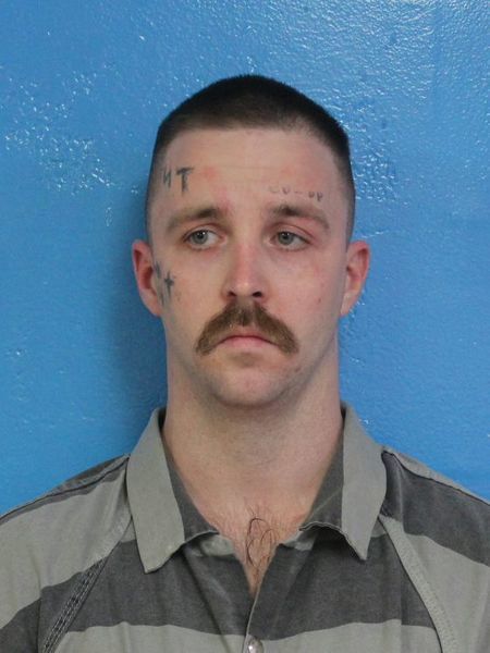 Mugshot of WILLIAM HARPER STEPHENSON
