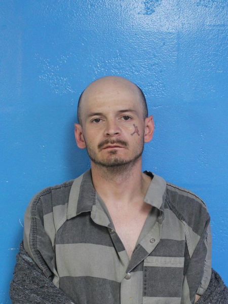 Mugshot of JOHNNY WAYNE PATTERSON