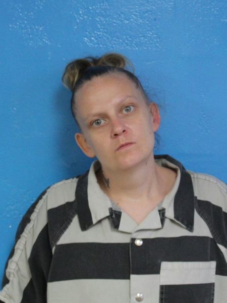Mugshot of MARY ELIZABETH POPE