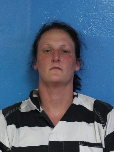 Mugshot of JANIE DANIELLE WILLIAMS