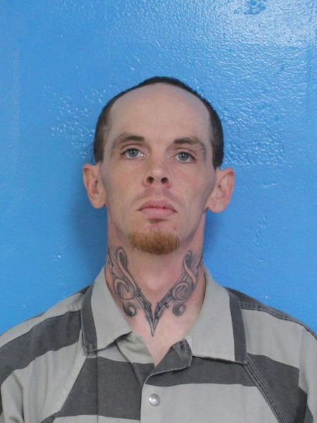 Mugshot of DANA COREY BAIRD
