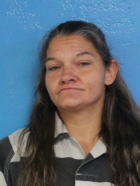 Mugshot of TAMARA DAWN FINK