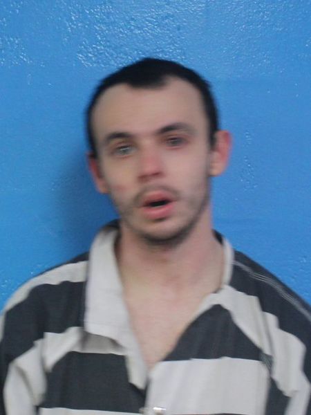 Mugshot of BLAYNE AUSTIN JENKINS