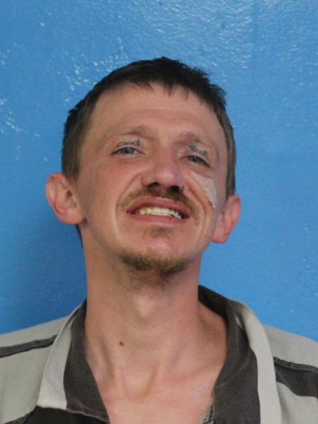 Mugshot of DANIEL LEE LEWIS