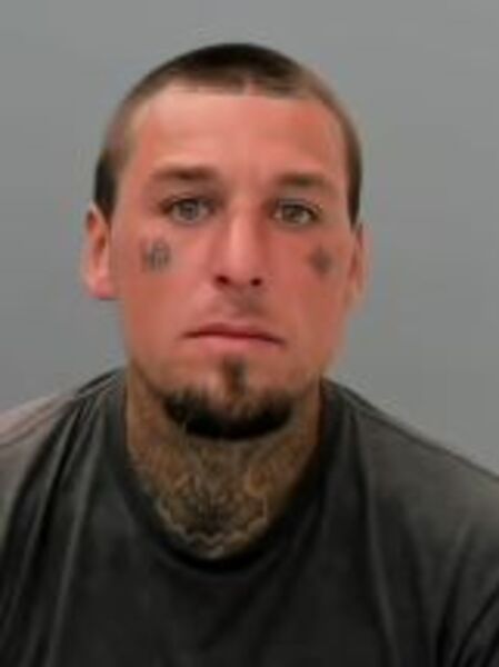 Mugshot of MICKEY LOUIS HOLMAN