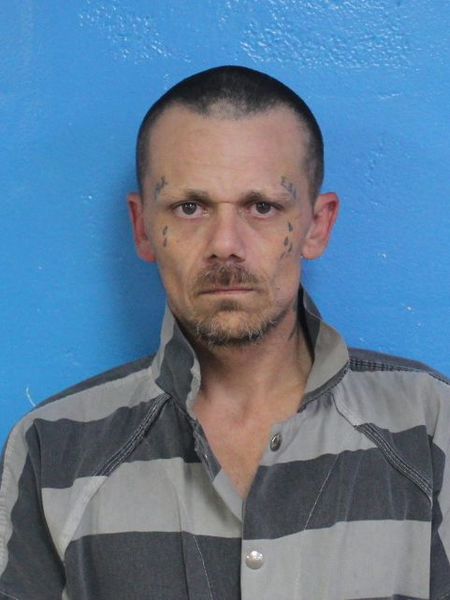 Mugshot of DONALD JAMES HODGSON