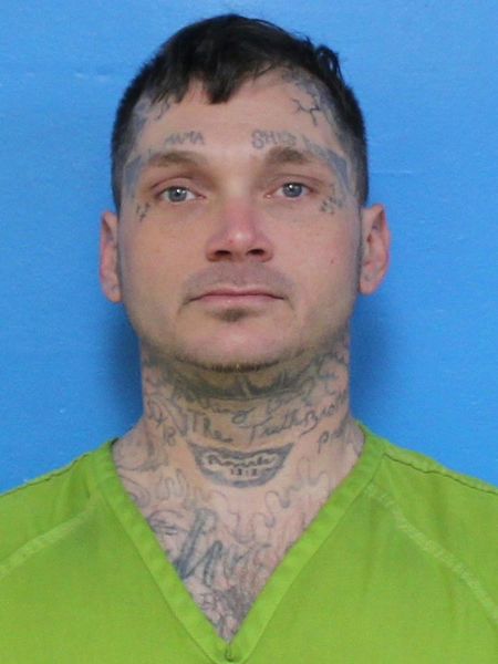 Mugshot of LOREN ADAM GOODMAN