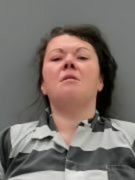 Mugshot of HEATHER LYNN ANDERS