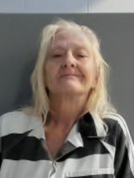 Mugshot of MELISSA ANN ELSWICK