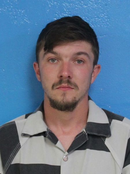 Mugshot of PERRY LYNN LANE