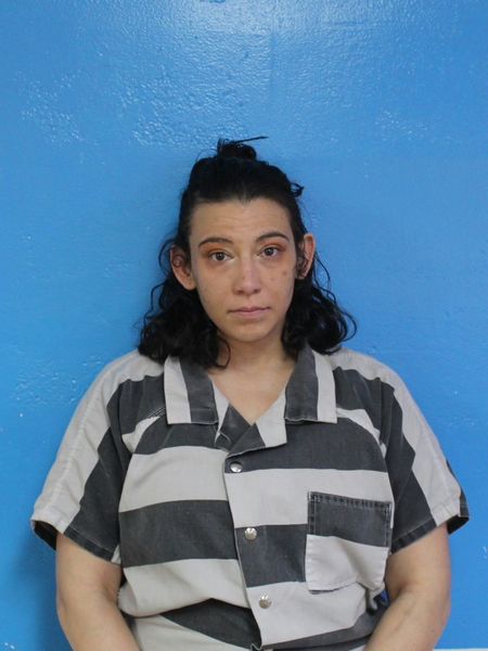 Mugshot of AMICA MASHAYA CLARK