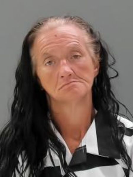 Mugshot of SHERRY ANN BEAR