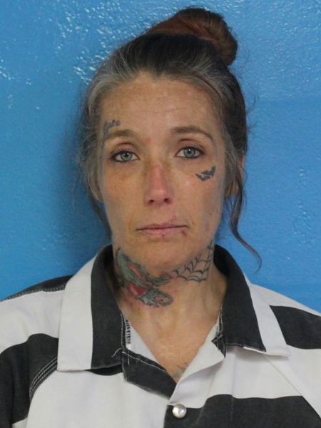 Mugshot of KIMBERLY FRANCES CARRICK