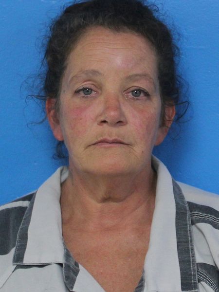 Mugshot of BETH ALLISON HAYNES