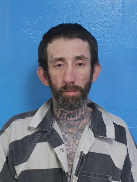 Mugshot of DARRYL ANTHONY FAUVER