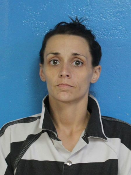 Mugshot of VICTORIA EVELYN SKELTON