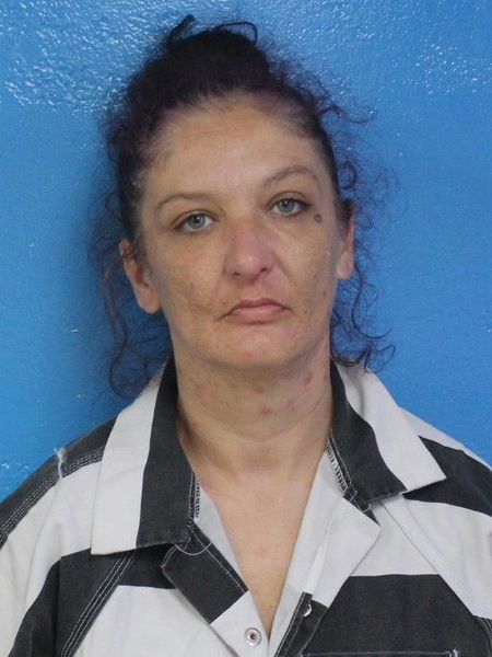 Mugshot of BRANDY LEANN OAKS