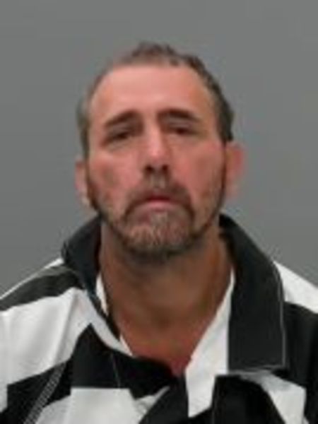 Mugshot of MICHAEL SHANE WELLS