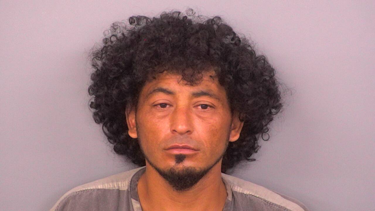 Mugshot of MARLON FLORES