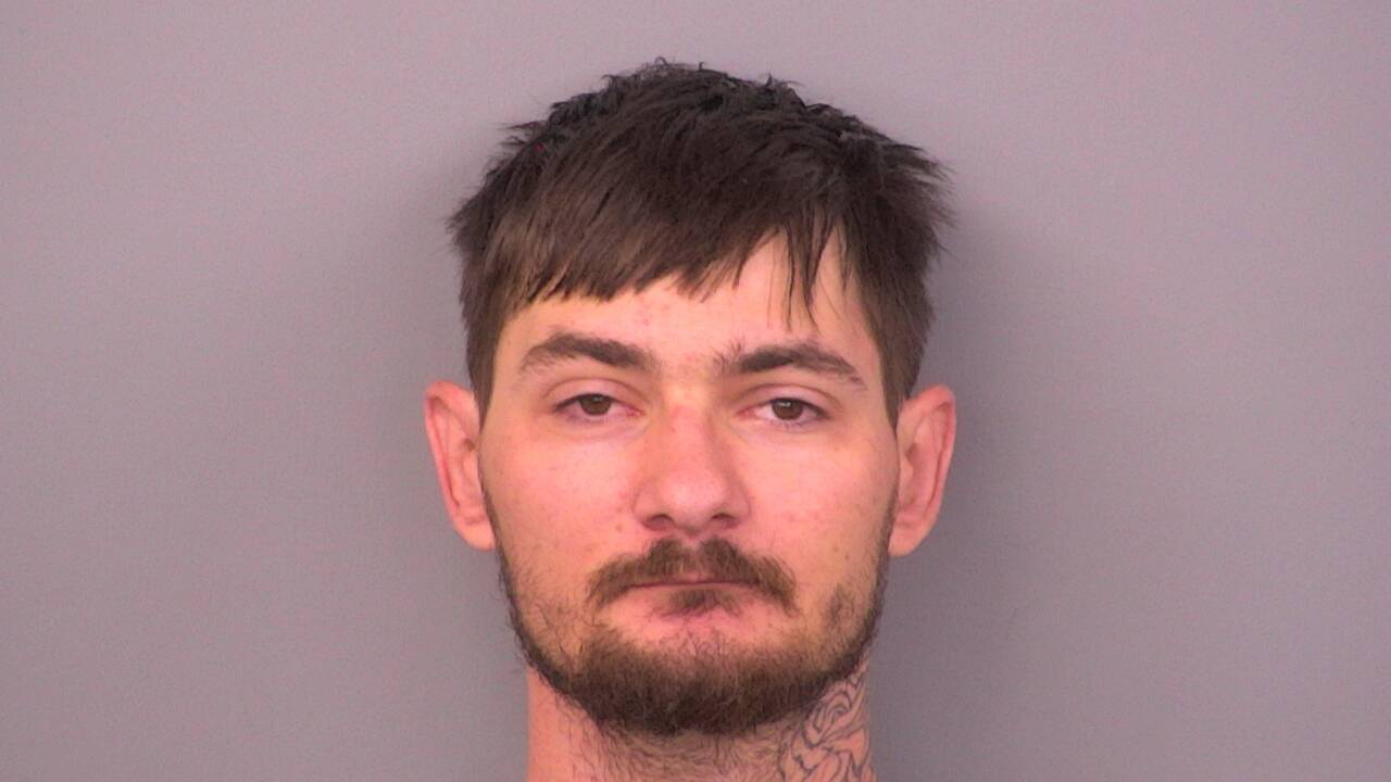 Mugshot of DANIEL BRYANT POLASEK