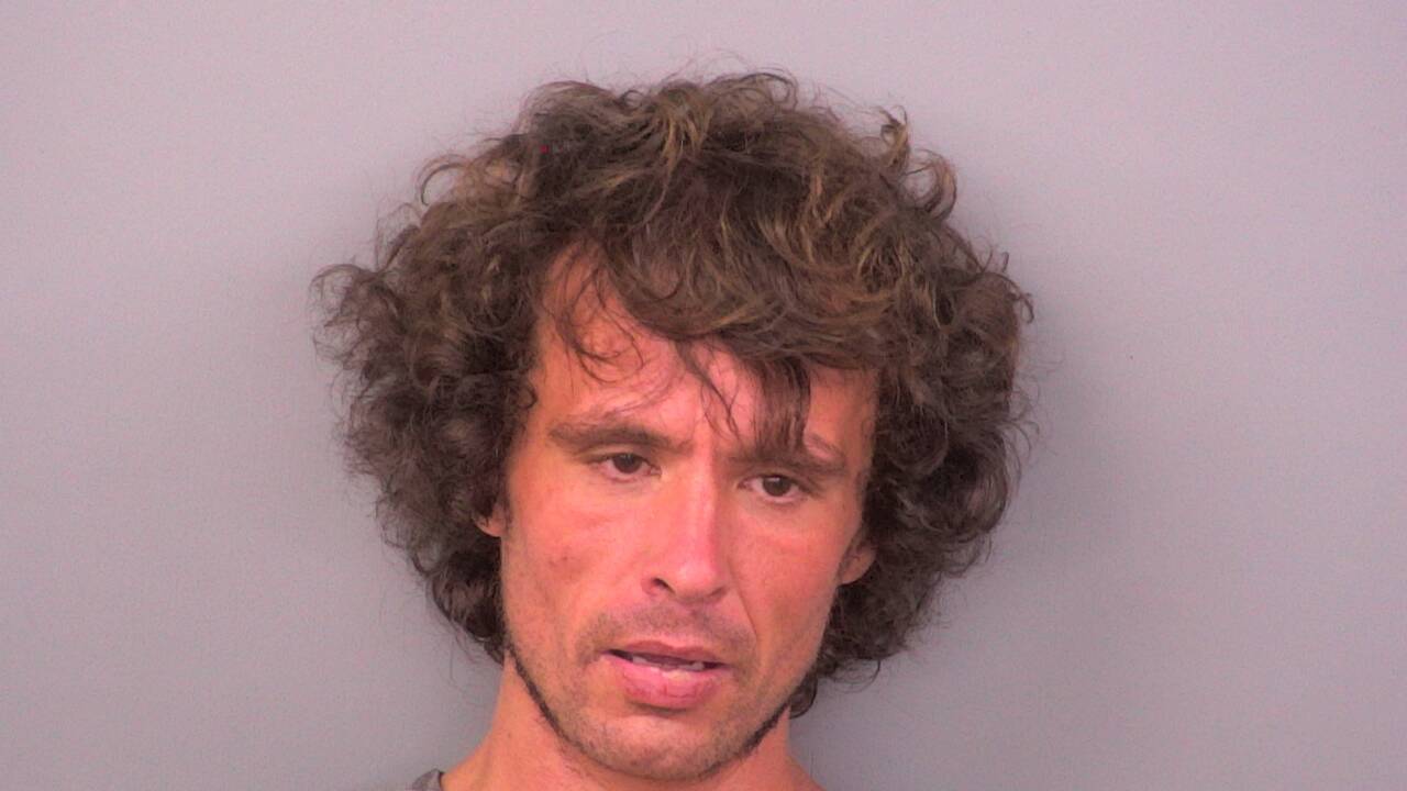 Mugshot of DYLAN RAY MINTON