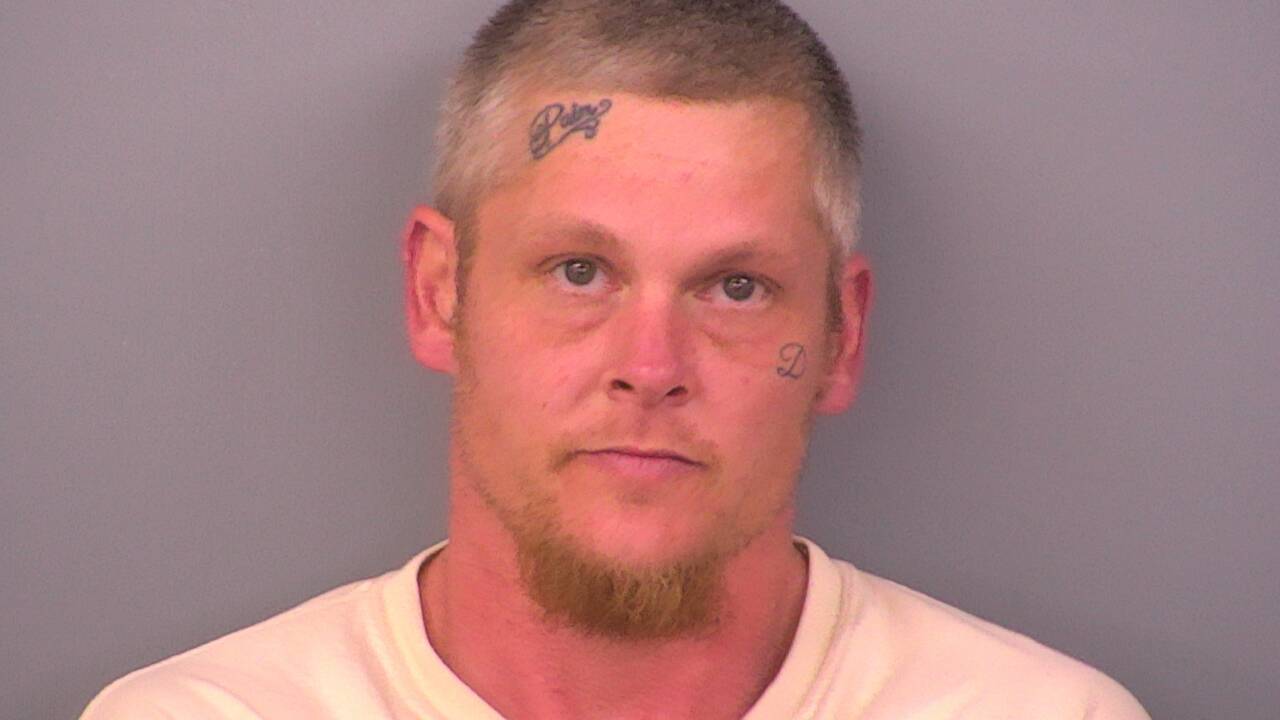 Mugshot of DEAVIN L DEFELICE