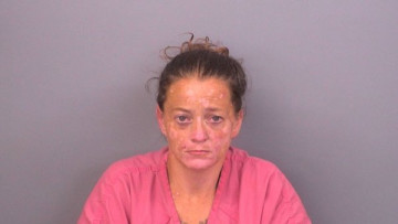 Mugshot of TAMELA SHANAE BREWINGTON
