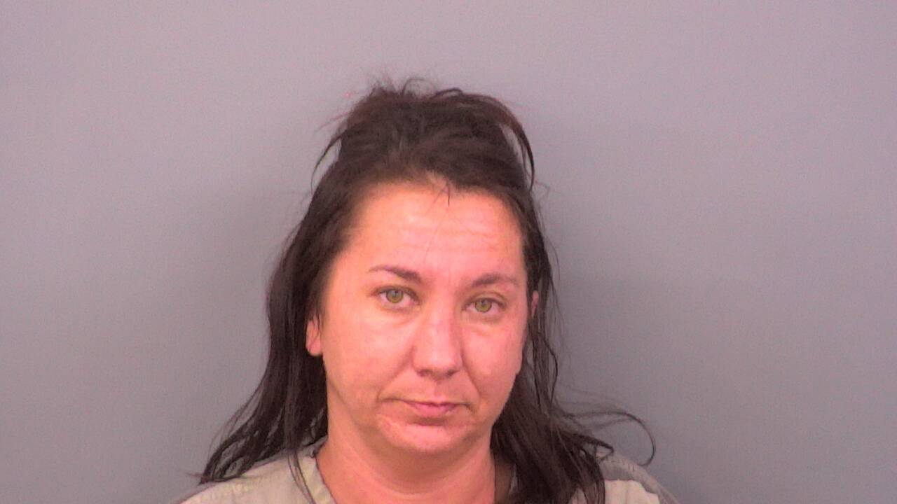 Mugshot of ALISHA RENEE FOUTS