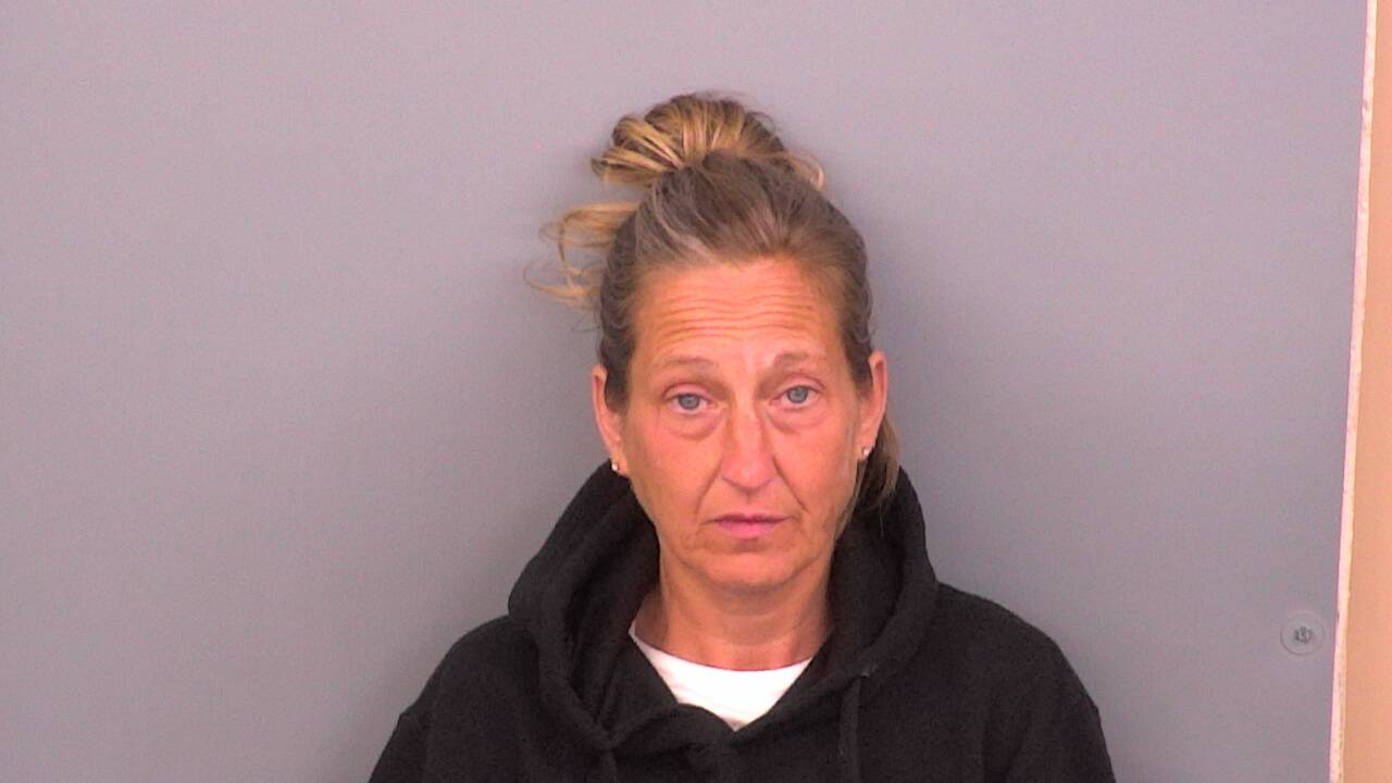 Mugshot of BRIDGET K MCKENZIE