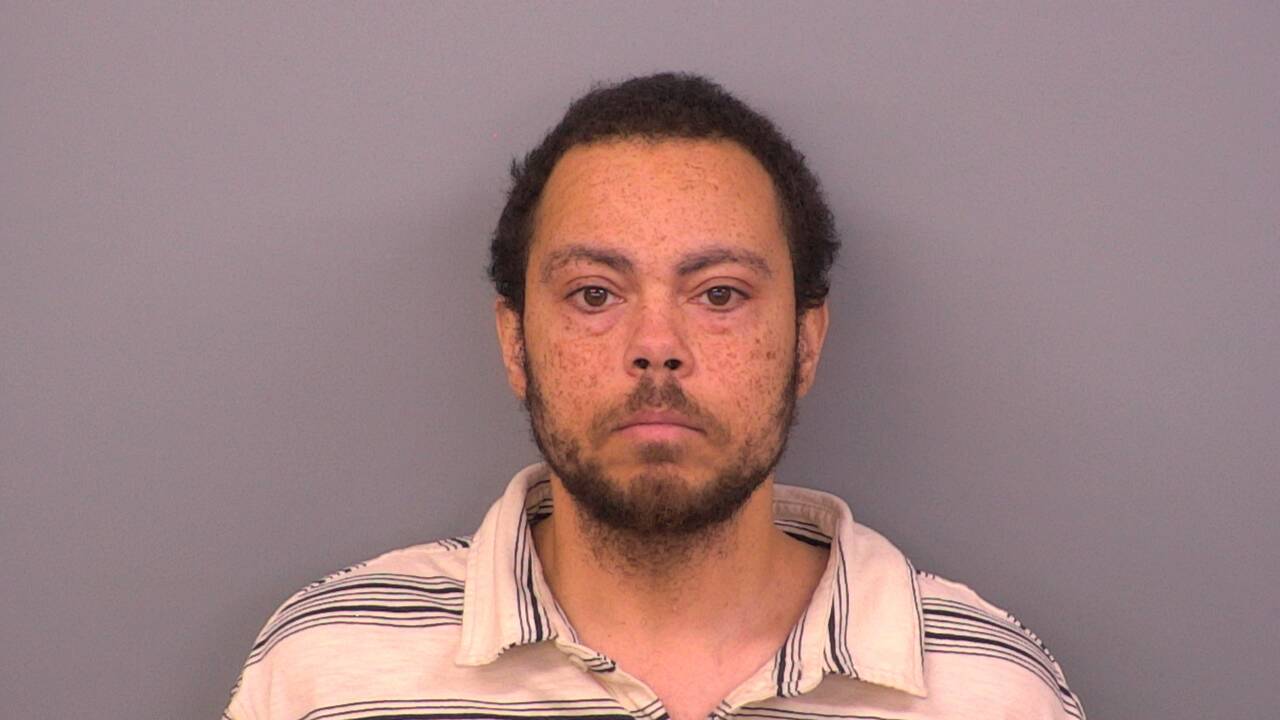 Mugshot of PAUL BRISTLE
