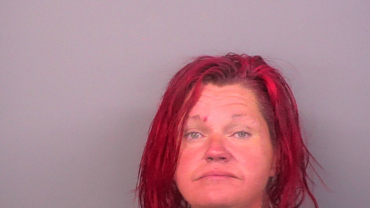 Mugshot of AUDREY R BIRDWELL