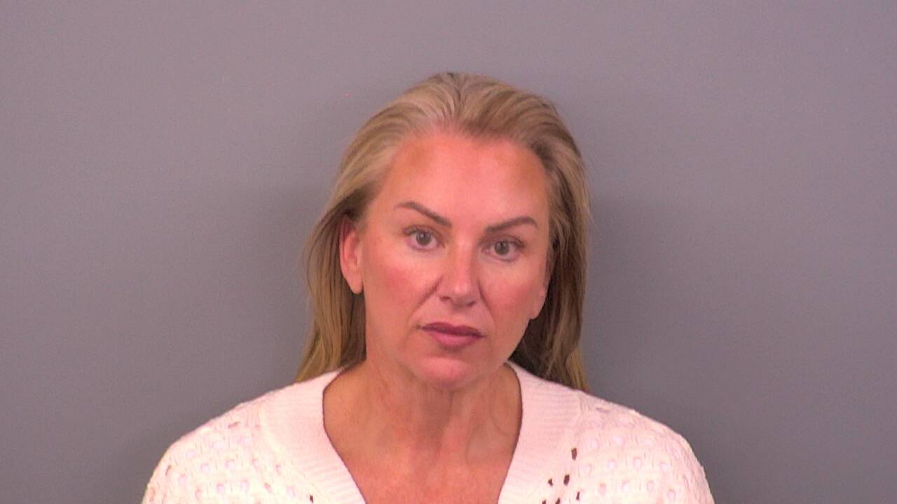 Mugshot of STACY D ALESSIO