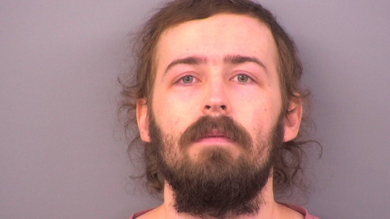Mugshot of NATHAN ZACHARY HANSEN