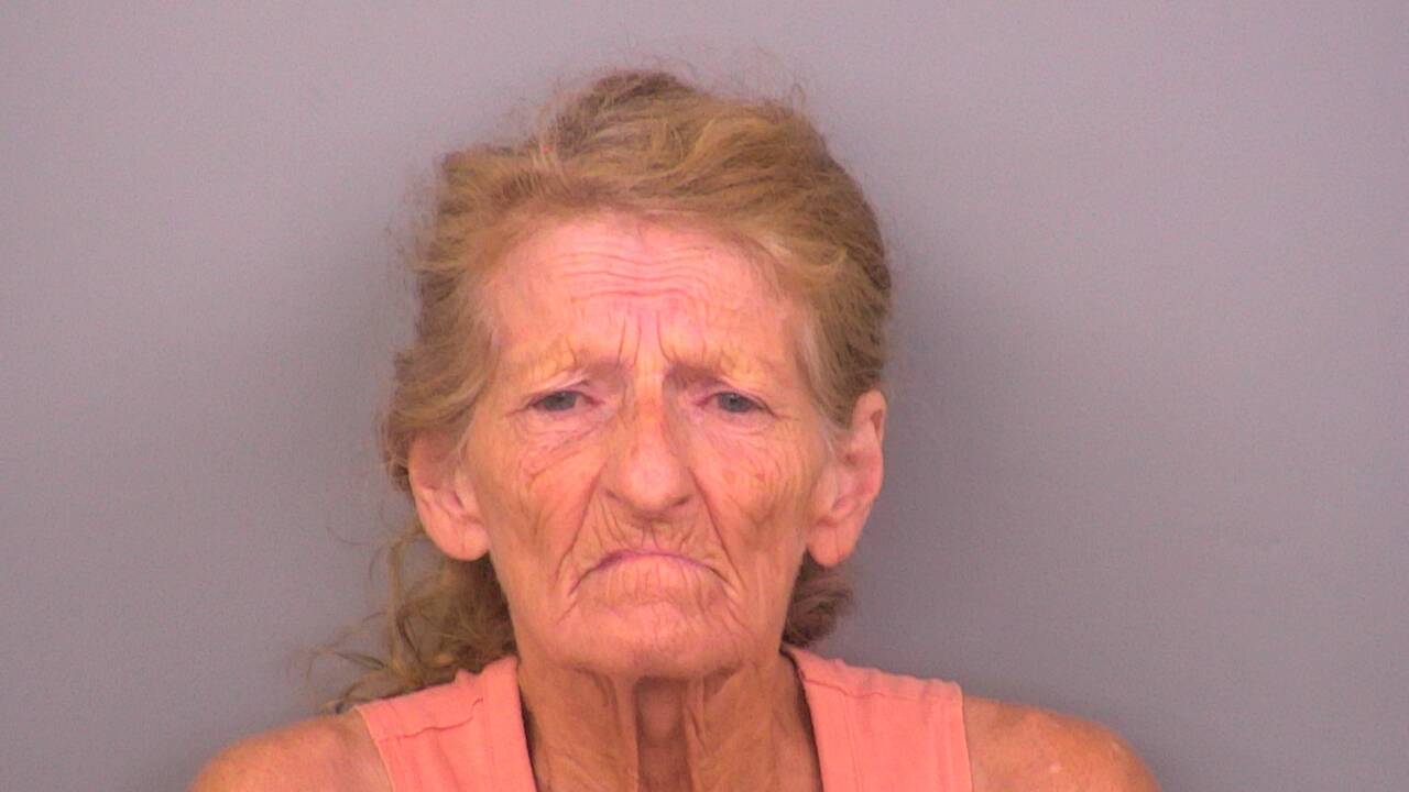 Mugshot of DEBRA JAMES
