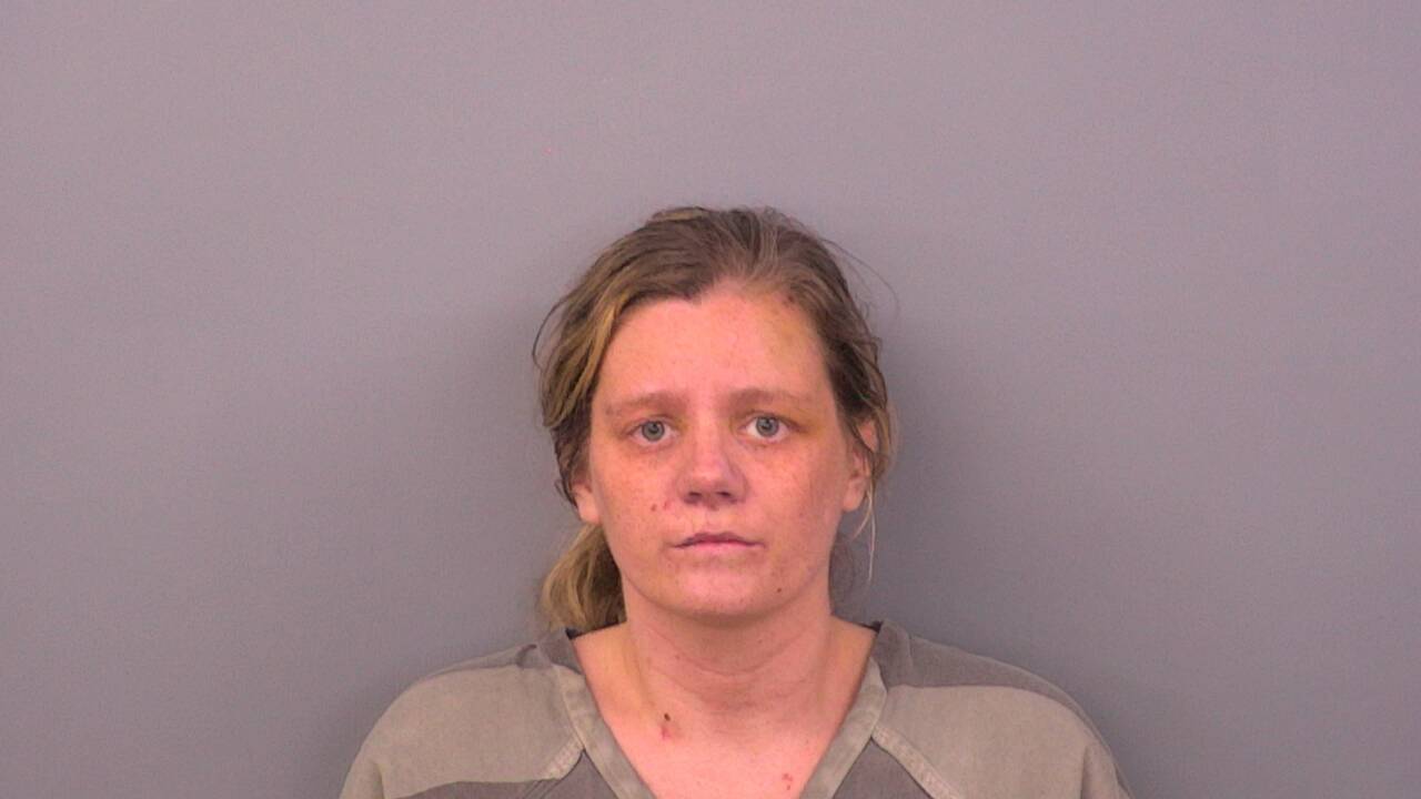 Mugshot of REANA N PRICE